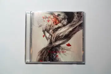 [ AcuticNotes ] Xephiratone