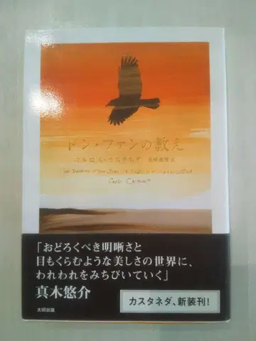 돈 팬의 가르침 카를로스 카스타네다 오타출판