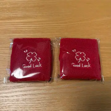 MELOGAPPA 엉덩이를 때리는 투어 굿즈 리스트 밴드