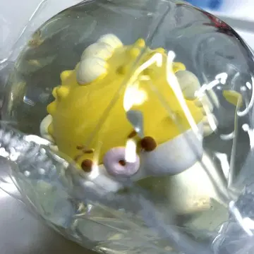 MoMo 스퀴즈 해양 복어 복어