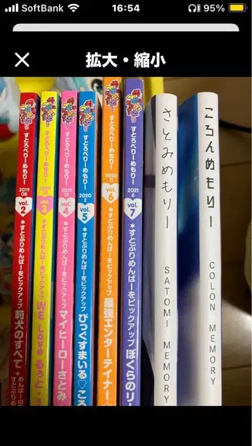 스토푸리 메모리 사토미 메모리 코론 메모리