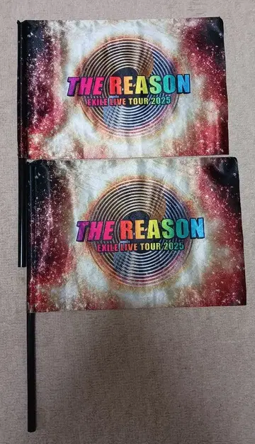 EXILE LIVE TOUR 2025 THE REASON 플래그 2개