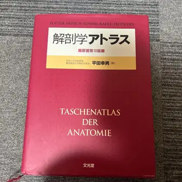 해부학 아틀라스