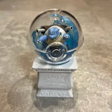 테라리움 컬렉션 거북왕