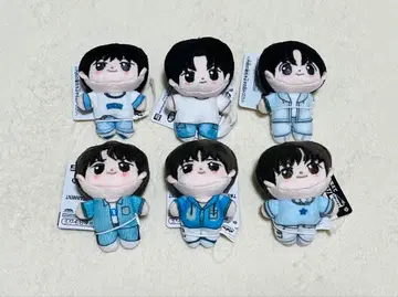 TWS 호와누이 전 6종 컴플리트 세트