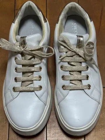 GEOX 제오스 스니커즈 여성용 23.5cm 골드