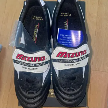 모렐리아2 교체식