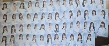 오 마이 펌킨 브로마이드 거의 컴프 53장 세트 AKB48