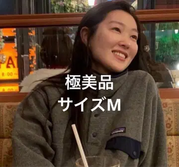 patagonia Synchilla 플리스 자켓 M [ 컨디션 최상 ]