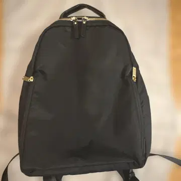 ace. 비즈니스 백팩