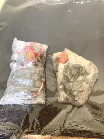 [ 익명 배송 ] 1번 복권 가면라이더 데포르메쿠스