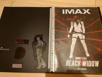 IMAX 영화 포스터집 (마블 포함)