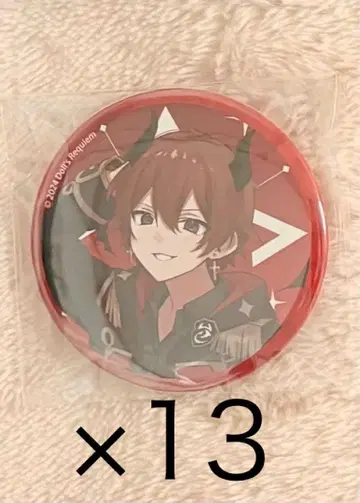 돌레쿠 후말 캔뱃지 13개