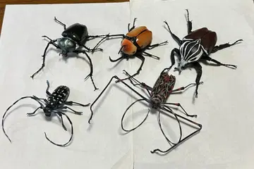 생물대도감 어드밴스 테나가사마귀, 얀손테나가코가네 기타 세트.