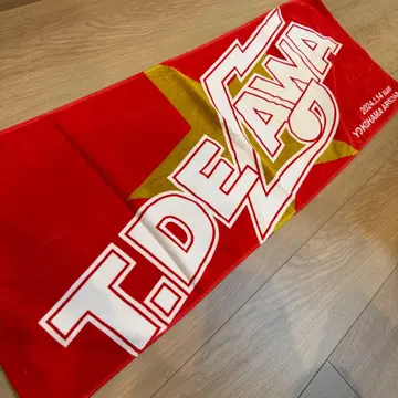 남자 데가와 테츠로 환력 축제 요코하마 아레나 타월