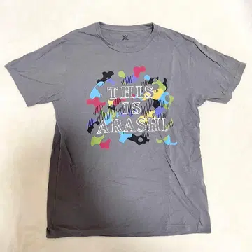 아라시 THIS IS ARASHI 라이브 T셔츠 (그레이)