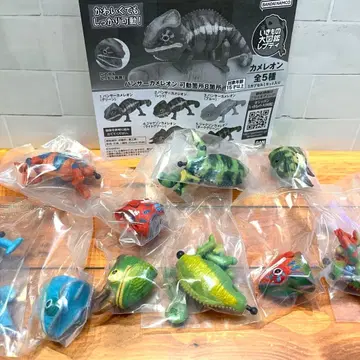 생물대도감 쁘띠 카멜레온 전 5종 세트