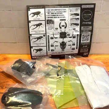 생물대도감 어드밴스 사슴벌레 02 에라푸스 호소아카사슴벌레(그린)