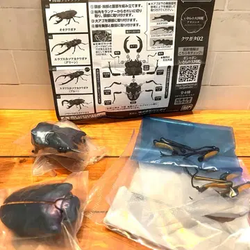 생물대도감 어드밴스 사슴벌레 02 에라푸스 호소아카사슴벌레 (블루)