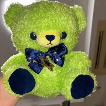 별의 곰돌이 그린 컬러 봉제 인형