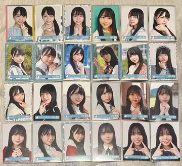 히나타자카 브로마이드 야마구치 하루요 묶음 판매 24컴프 96장