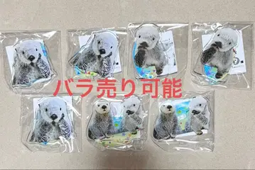 도바 수족관 랏코 메이 키라 아크릴 스탠드