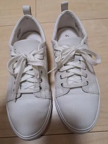 Clarks 화이트 스니커즈 24.5cm (US 7.5)