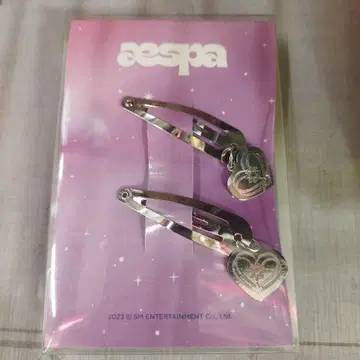 aespa 헤어핀 세트 2개입 KARINA