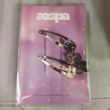 aespa 헤어핀 세트 2개 세트 NINGNING