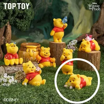 TOPTOY 곰돌이 푸 HAPPYEVERYDAY 해피 에브리데이