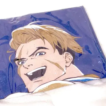 스트리트 파이터 6 / 캡콤 복권 / 페이스타월 / 루크