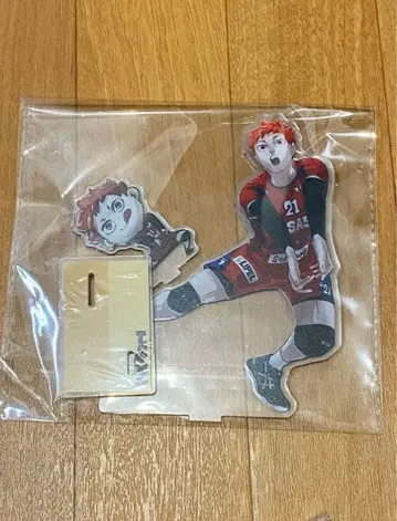 하이큐 V리그 히나타 쇼요 아크릴 스탠드