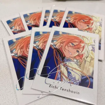 앙스타 영지 파샤츳츠 8장 묶음 판매