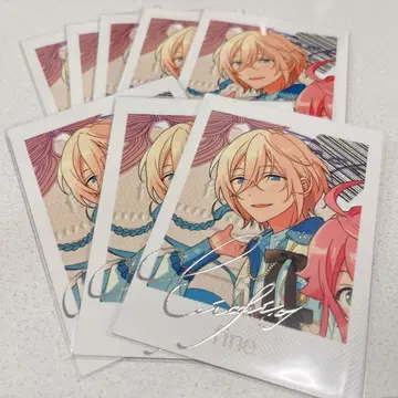 앙스타 파샤츠 에이치 8장 묶음 판매