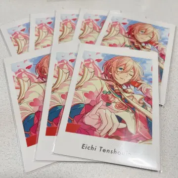 앙스타 파샤츠 에이치 8장 묶음 판매