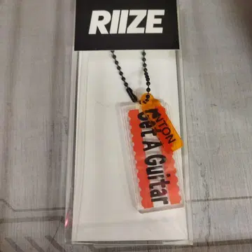 키링 앤톤 WSP ANTON