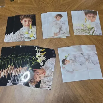 용궁성 S 00 브로마이드 세트