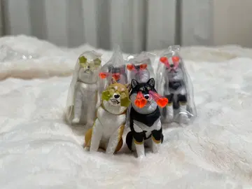 눈에서 Beam 시바견 피규어 6체 세트 캡슐 토이