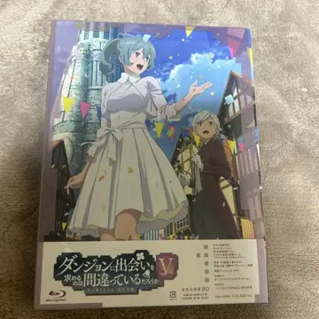 던전에서 만남을 추구하면 안 되는 걸까 V 초회 특장판