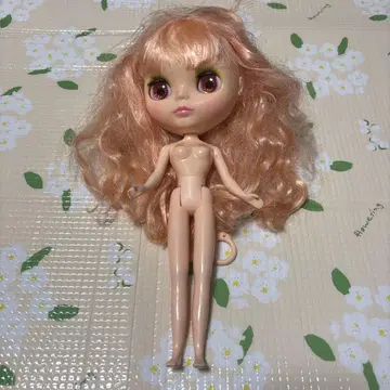 브라이스 네오 브라이스 인형 본체