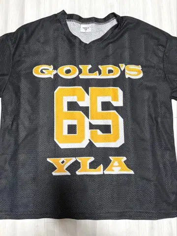 골드짐 YOUNGLA 메쉬 [ XL ] 새상품급