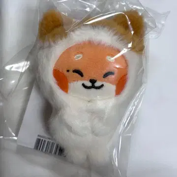 제로니 마그넷 사진 홀더 튀니니