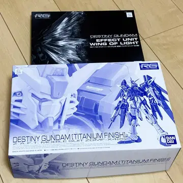 내부 가방 미개봉 RG 데스티니 건담 티타늄 피니쉬 빛의 날개 세트