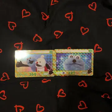 순순 카드 세트