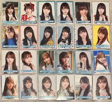 히나타자카 브로마이드 카토 시호 묶음 판매 48컴프 192장