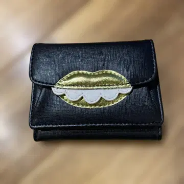 캐세리니 립 지갑 오사카 한정판