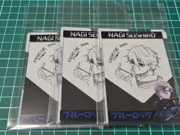 경질 카드 케이스 나기 세이시로