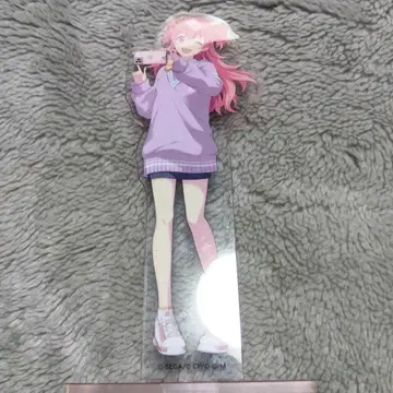 프로세카 아크릴 스탠드 모모이 아이리