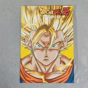 [ 46권 ] 미개봉 드래곤볼 Z DVD 엽서