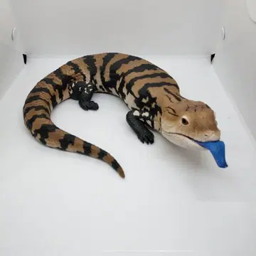 제일복권 파충류 & 양서류 라스트 원상 아오지타 도마뱀